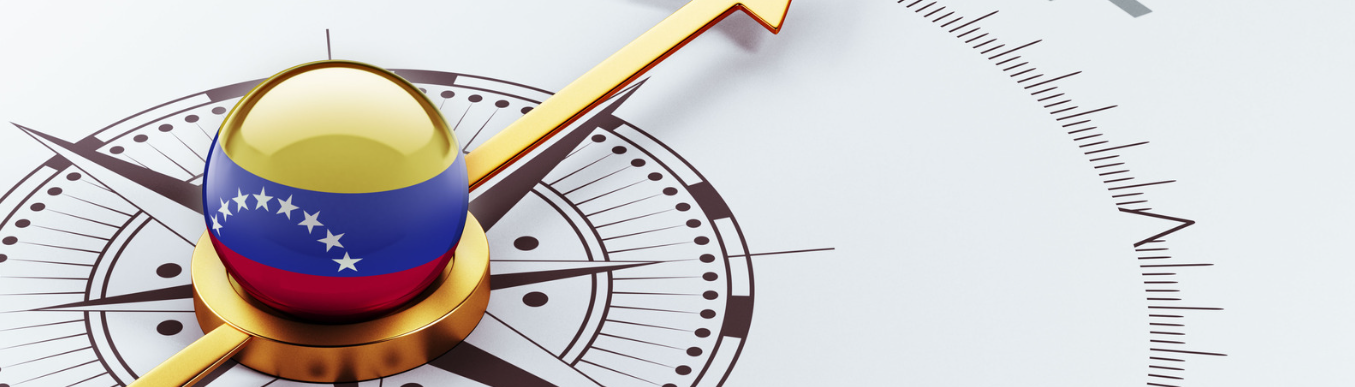 Especialista em direito constitucional