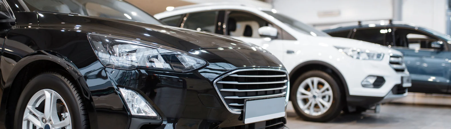 leilão de carros de luxo