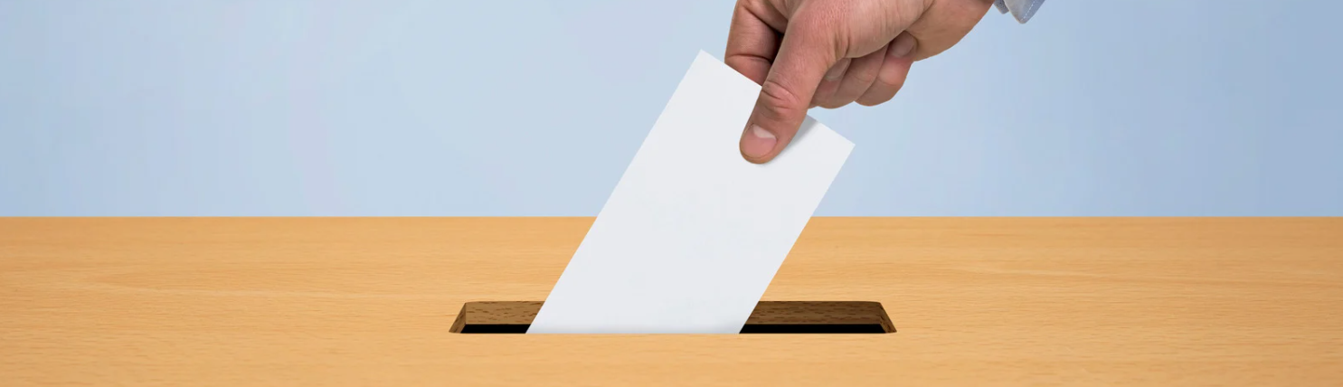 fraude à cota de gênero