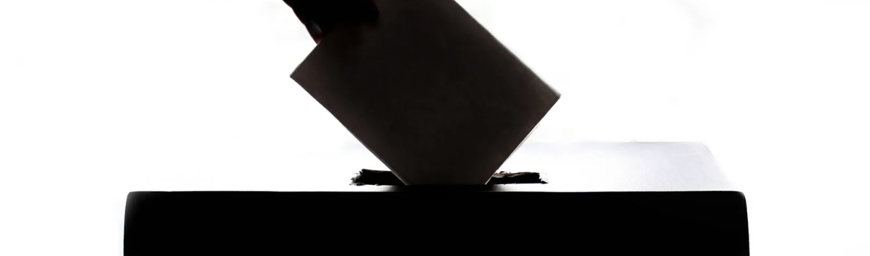 candidaturas únicas